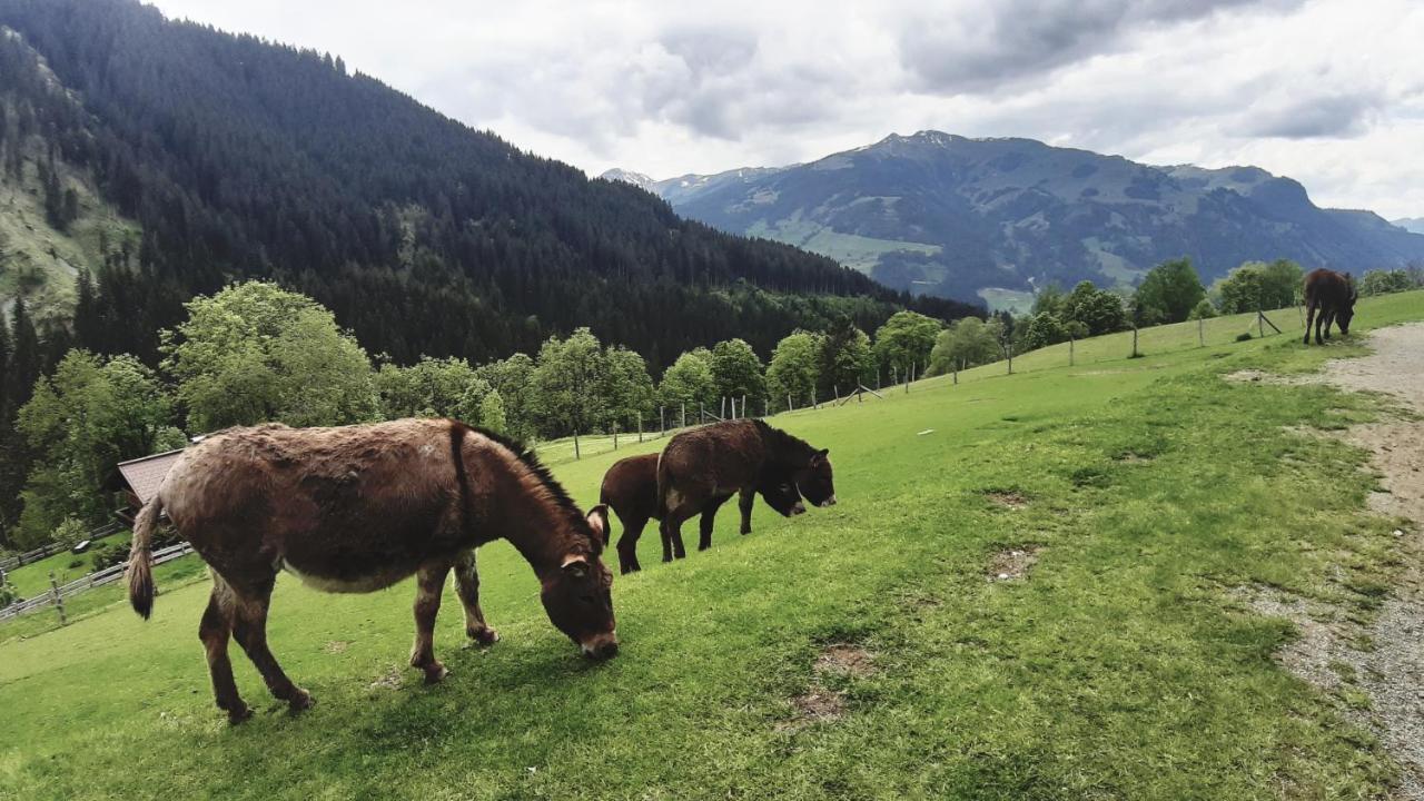 Bed and Breakfast Privatzimmervermietung Foidlbauer Oberndorf in Tirol Exteriér fotografie