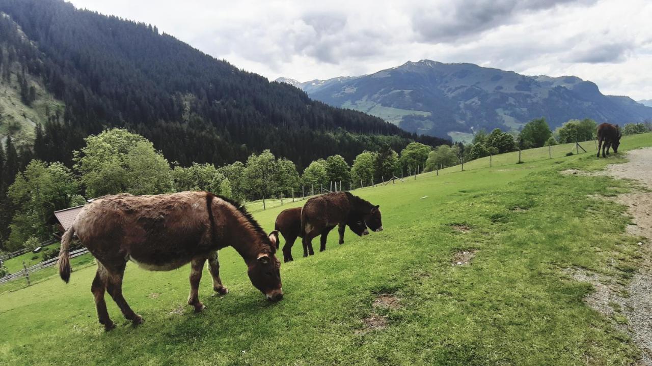 Privatzimmervermietung Foidlbauer Oberndorf in Tirol Exteriér fotografie