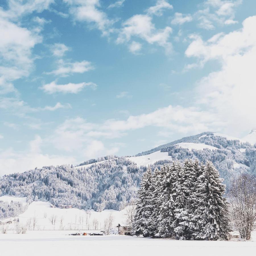 Bed and Breakfast Privatzimmervermietung Foidlbauer Oberndorf in Tirol Exteriér fotografie